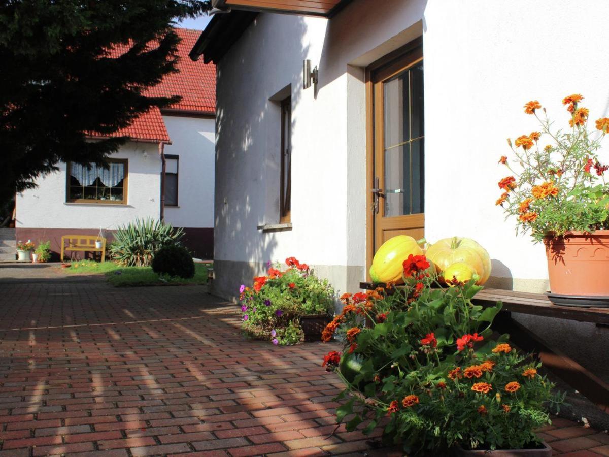Ferienhaus Christine Schenkendobern Esterno foto