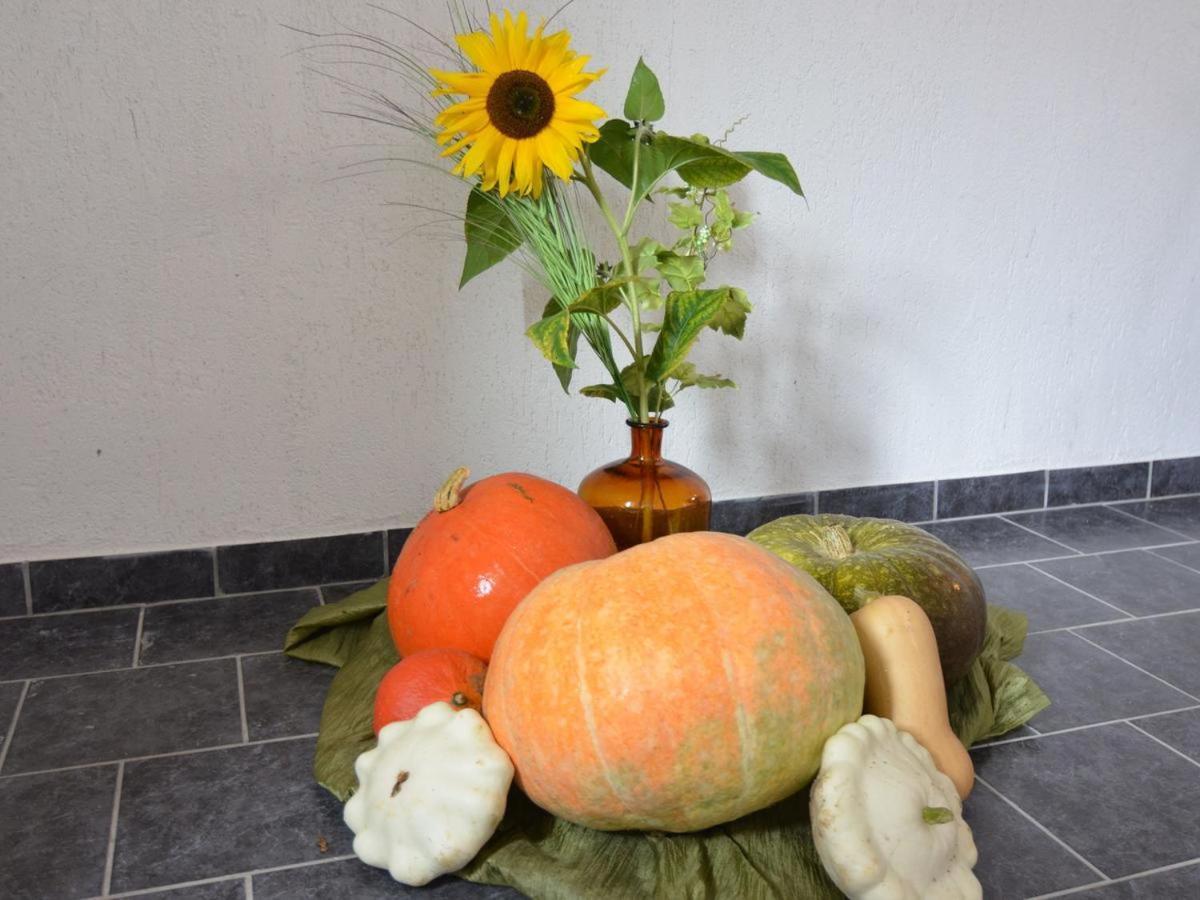 Ferienhaus Christine Schenkendobern Esterno foto